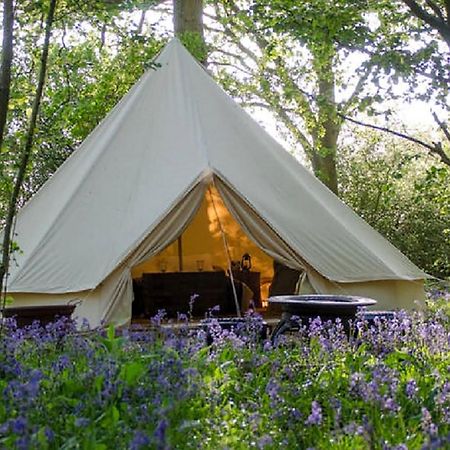 Hotel Oak Tree Farm Llanfynydd Exterior foto