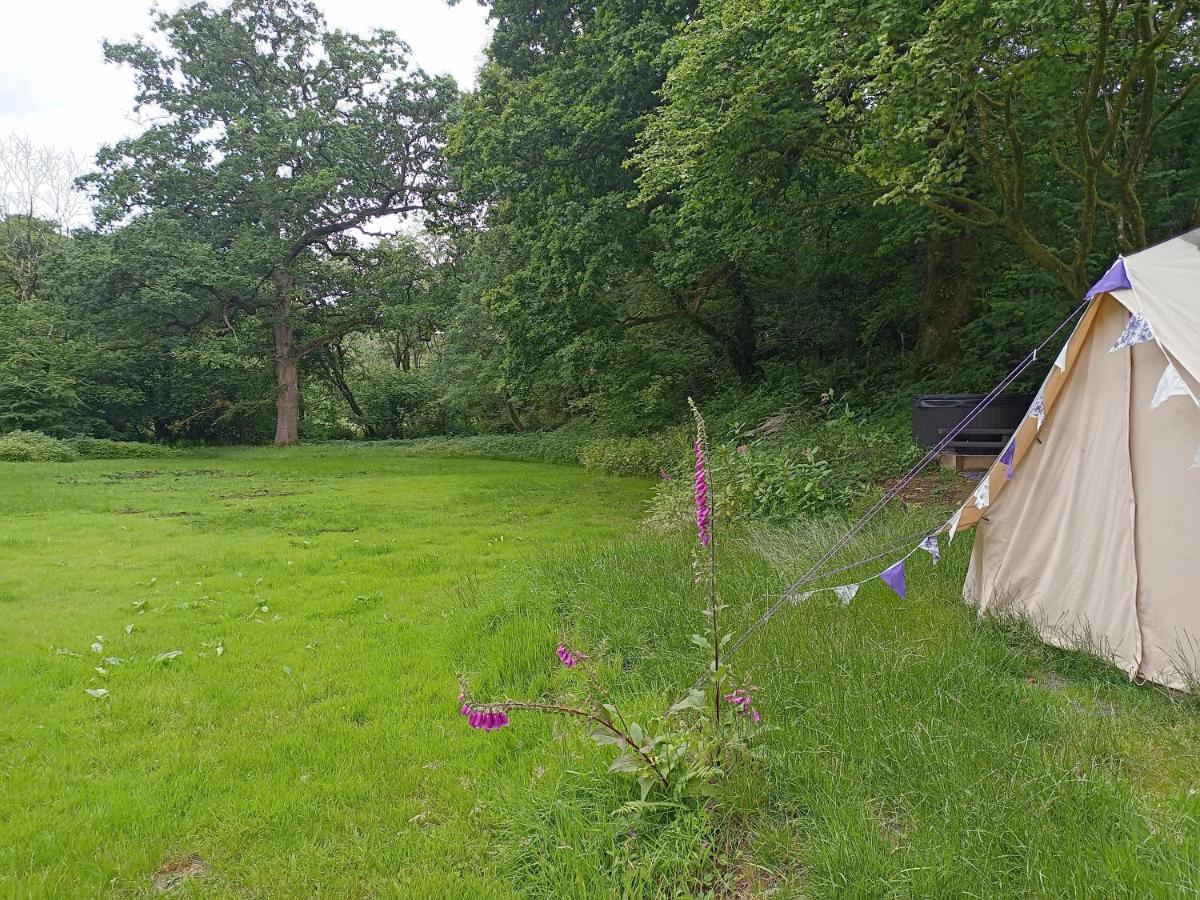 Hotel Oak Tree Farm Llanfynydd Exterior foto